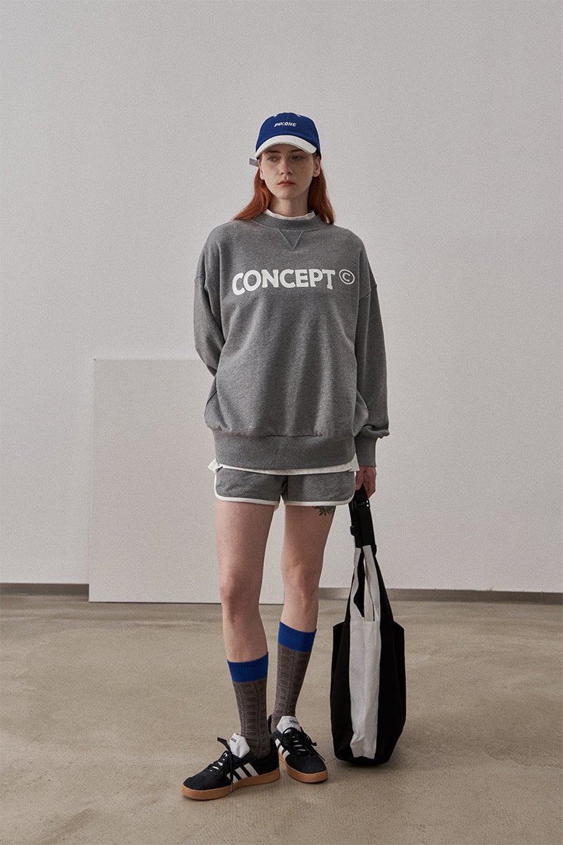 Small Fit Concept Sweatshirt / Dark Gray - Image 5