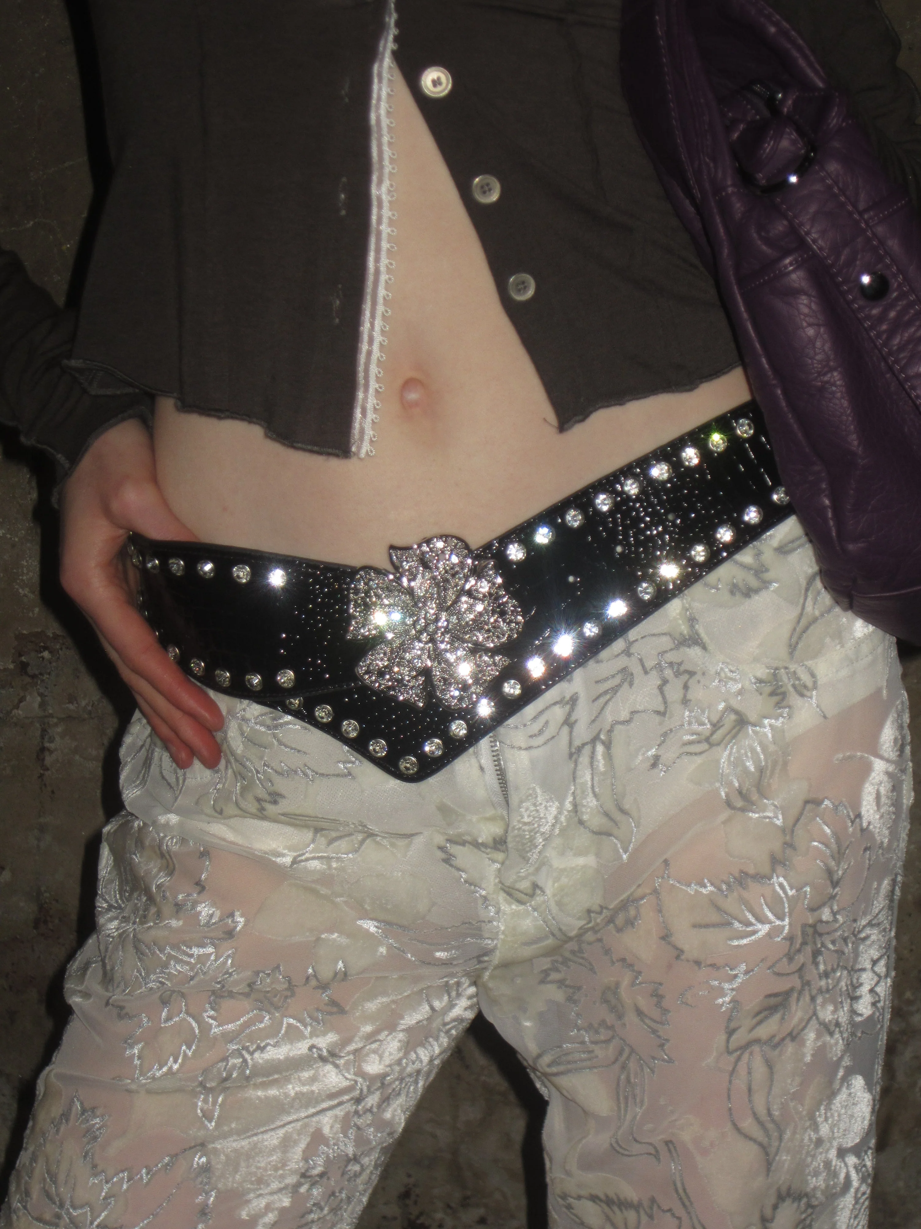 Velvet-flocked Semi-sheer Trousers /Beige - Image 10